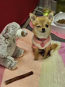 Princess Bella Voiceover Studio Producer Winking